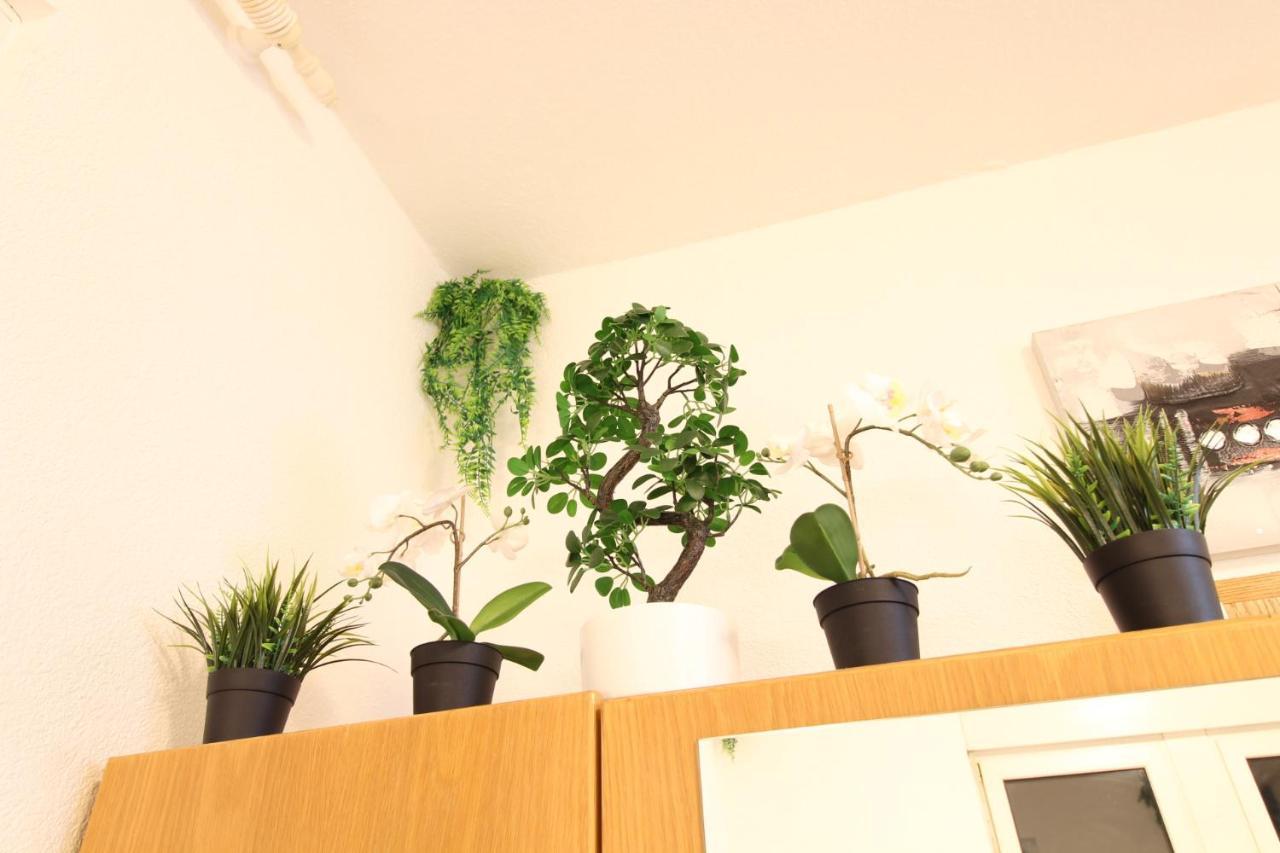 Downtown Apartments Ulm - Im Herzen Von Ulm & Komfortable Boxspringbetten Luaran gambar